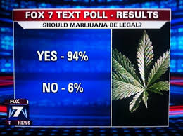 CannabisNews3